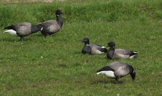 texel2018-45